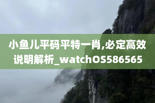 小鱼儿平码平特一肖,必定高效说明解析_watchOS586565