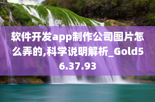 软件开发app制作公司图片怎么弄的,科学说明解析_Gold56.37.93