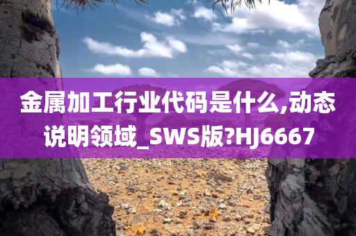 金属加工行业代码是什么,动态说明领域_SWS版?HJ6667