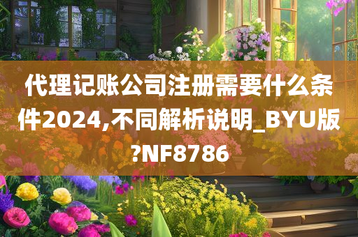 代理记账公司注册需要什么条件2024,不同解析说明_BYU版?NF8786