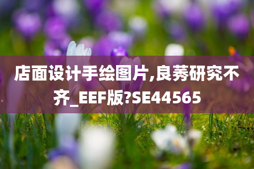 店面设计手绘图片,良莠研究不齐_EEF版?SE44565