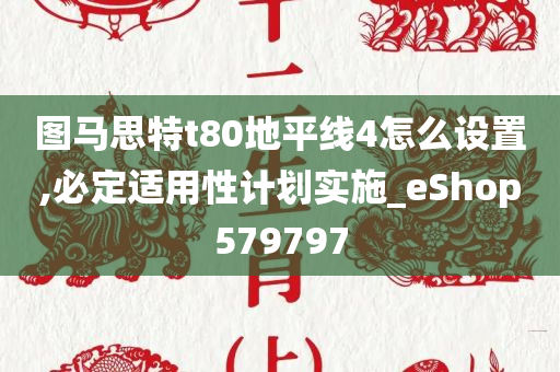 图马思特t80地平线4怎么设置,必定适用性计划实施_eShop579797