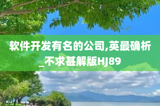 软件开发有名的公司,英最确析_不求甚解版HJ89