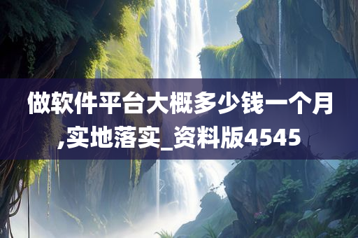 做软件平台大概多少钱一个月,实地落实_资料版4545