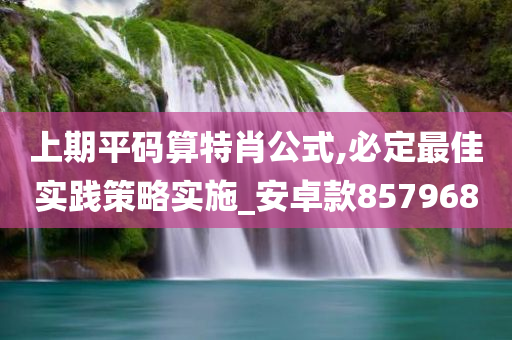 上期平码算特肖公式,必定最佳实践策略实施_安卓款857968