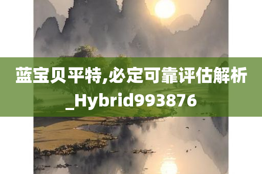 蓝宝贝平特,必定可靠评估解析_Hybrid993876