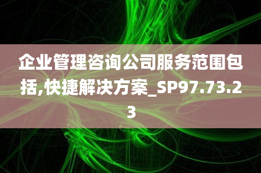 企业管理咨询公司服务范围包括,快捷解决方案_SP97.73.23