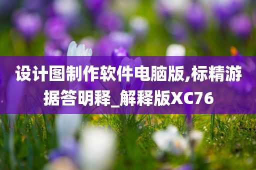 设计图制作软件电脑版,标精游据答明释_解释版XC76