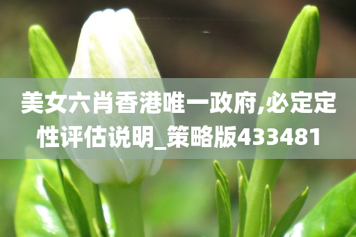 美女六肖香港唯一政府,必定定性评估说明_策略版433481