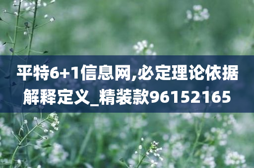 平特6+1信息网,必定理论依据解释定义_精装款96152165