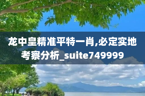 龙中皇精准平特一肖,必定实地考察分析_suite749999