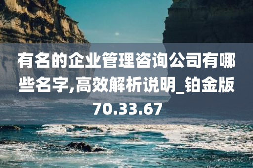 有名的企业管理咨询公司有哪些名字,高效解析说明_铂金版70.33.67