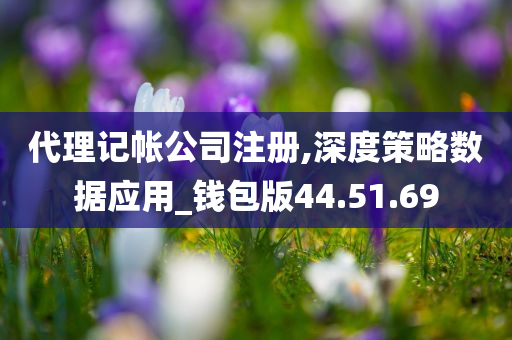 代理记帐公司注册,深度策略数据应用_钱包版44.51.69