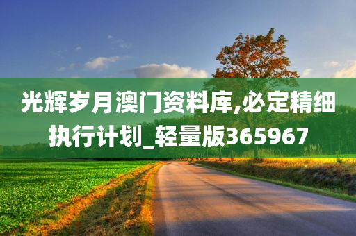 光辉岁月澳门资料库,必定精细执行计划_轻量版365967