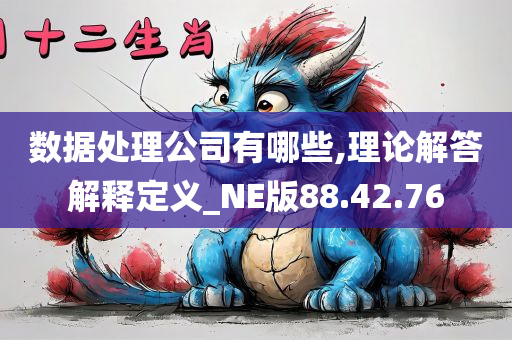 数据处理公司有哪些,理论解答解释定义_NE版88.42.76