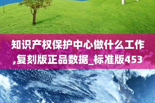 知识产权保护中心做什么工作,复刻版正品数据_标准版453