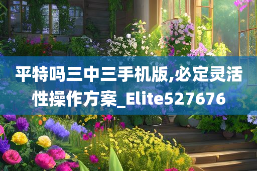 平特吗三中三手机版,必定灵活性操作方案_Elite527676