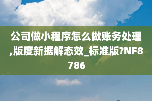 公司做小程序怎么做账务处理,版度新据解态效_标准版?NF8786