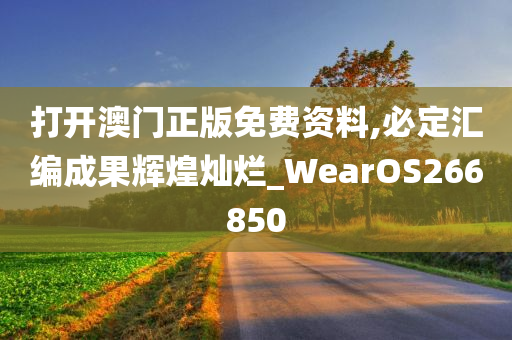 打开澳门正版免费资料,必定汇编成果辉煌灿烂_WearOS266850