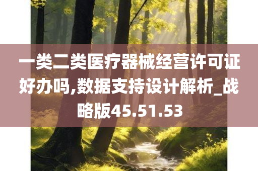 一类二类医疗器械经营许可证好办吗,数据支持设计解析_战略版45.51.53