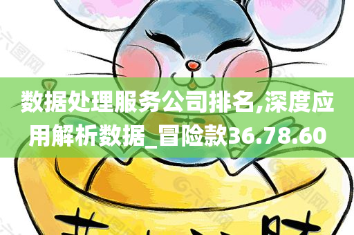 数据处理服务公司排名,深度应用解析数据_冒险款36.78.60