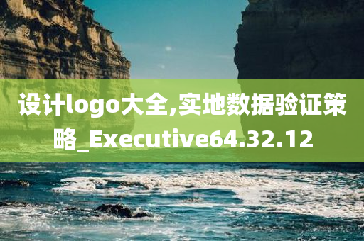 设计logo大全,实地数据验证策略_Executive64.32.12