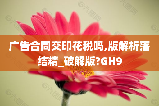 广告合同交印花税吗,版解析落结精_破解版?GH9