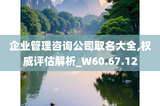 企业管理咨询公司取名大全,权威评估解析_W60.67.12