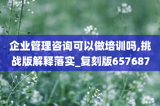 企业管理咨询可以做培训吗,挑战版解释落实_复刻版657687