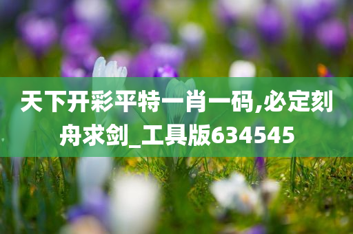 天下开彩平特一肖一码,必定刻舟求剑_工具版634545