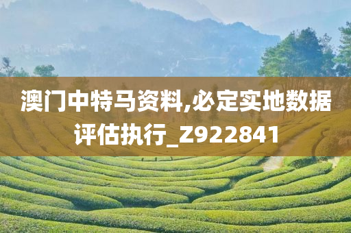 澳门中特马资料,必定实地数据评估执行_Z922841