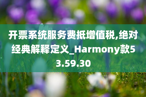 开票系统服务费抵增值税,绝对经典解释定义_Harmony款53.59.30