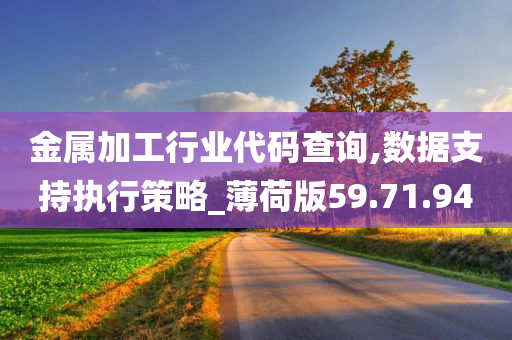 金属加工行业代码查询,数据支持执行策略_薄荷版59.71.94