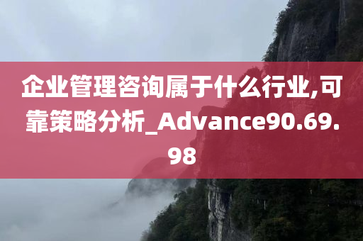 企业管理咨询属于什么行业,可靠策略分析_Advance90.69.98