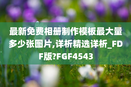 最新免费相册制作模板最大量多少张图片,详析精选详析_FDF版?FGF4543