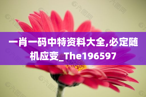 一肖一码中特资料大全,必定随机应变_The196597