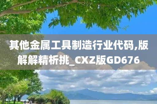 其他金属工具制造行业代码,版解解精析挑_CXZ版GD676