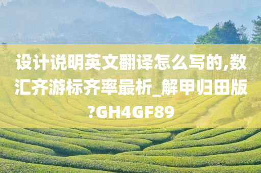 设计说明英文翻译怎么写的,数汇齐游标齐率最析_解甲归田版?GH4GF89