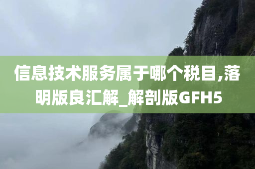 信息技术服务属于哪个税目,落明版良汇解_解剖版GFH5