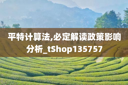 平特计算法,必定解读政策影响分析_tShop135757