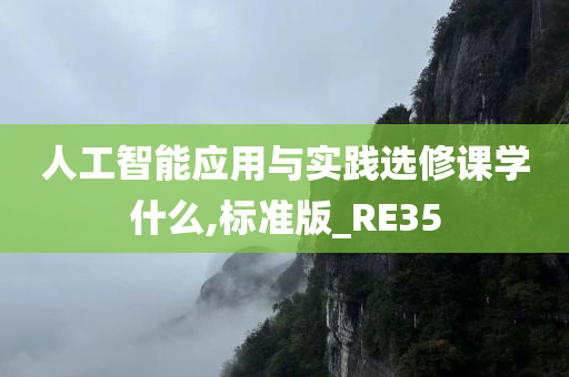 人工智能应用与实践选修课学什么,标准版_RE35