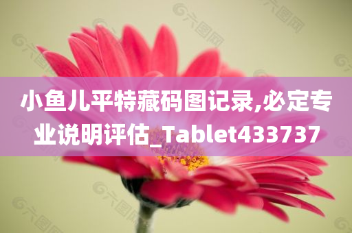 小鱼儿平特藏码图记录,必定专业说明评估_Tablet433737