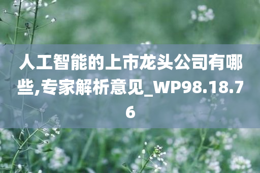 人工智能的上市龙头公司有哪些,专家解析意见_WP98.18.76