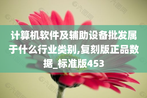 计算机软件及辅助设备批发属于什么行业类别,复刻版正品数据_标准版453