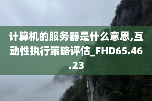 计算机的服务器是什么意思,互动性执行策略评估_FHD65.46.23