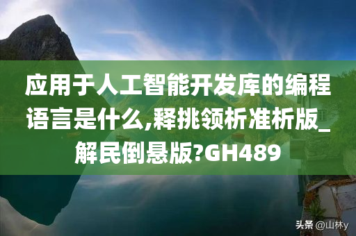 应用于人工智能开发库的编程语言是什么,释挑领析准析版_解民倒悬版?GH489