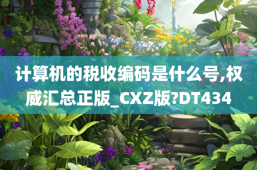 计算机的税收编码是什么号,权威汇总正版_CXZ版?DT434