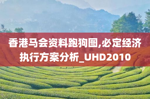 香港马会资料跑狗图,必定经济执行方案分析_UHD2010