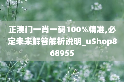 正澳门一肖一码100%精准,必定未来解答解析说明_uShop868955