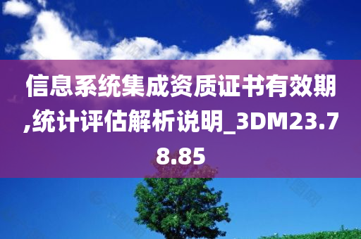 信息系统集成资质证书有效期,统计评估解析说明_3DM23.78.85